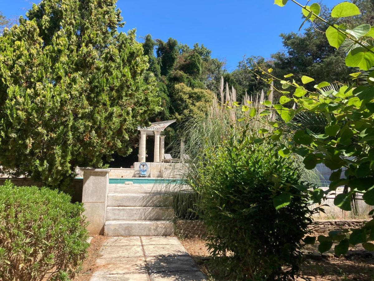 Gite Encore Un Soir Hyeres Exterior photo