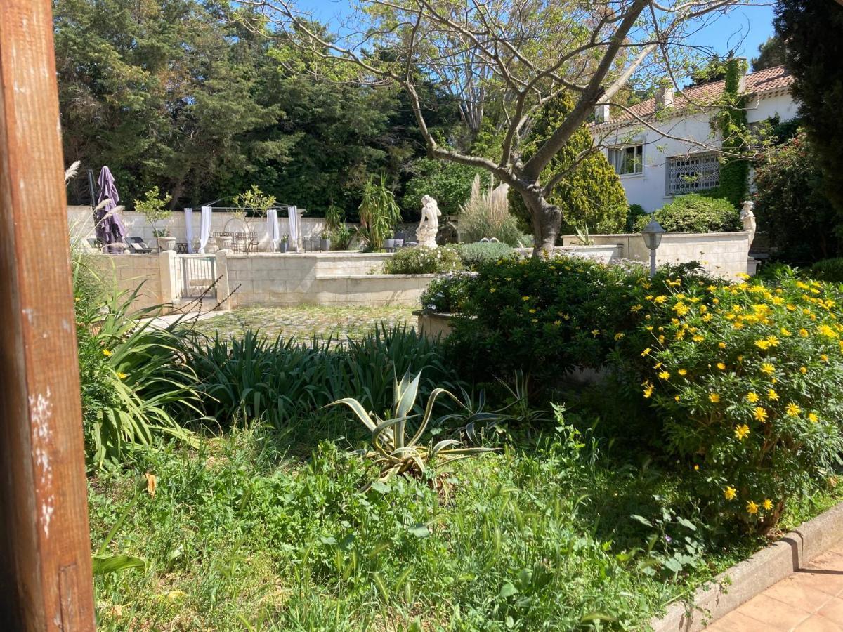 Gite Encore Un Soir Hyeres Exterior photo